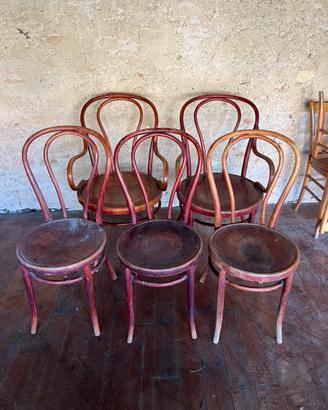 5 sedie Thonet-Mundus