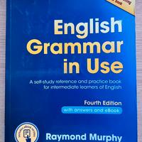 English Grammar in Use