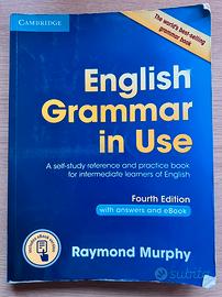 English Grammar in Use