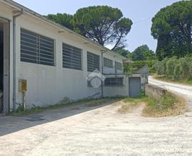 CAPANNONE A LONGIANO