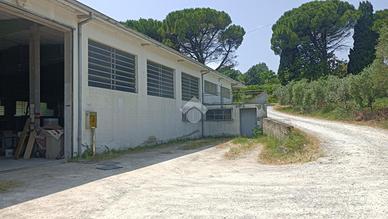 CAPANNONE A LONGIANO