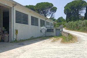 CAPANNONE A LONGIANO