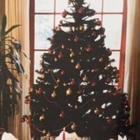 ALBERO DI NATALE ALTO 2.48