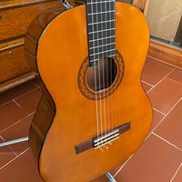 Chitarra