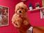 Immagine 15
