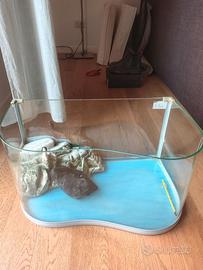 Acquario Rettilaio 40lt.  Misure 50Lx28hx33