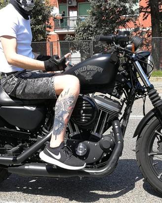 Harley Davidson Iron 883