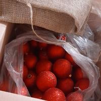 Tre sacchetti con palle di Natale