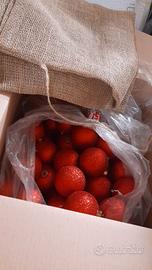 Tre sacchetti con palle di Natale