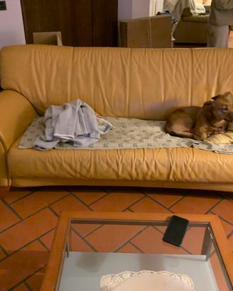 Divani in pelle