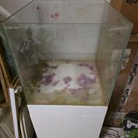 Acquario marino aqpet cubo 50x50 mobile e sump