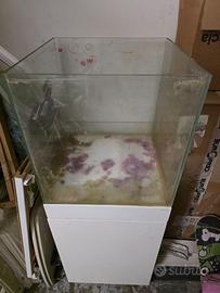 Acquario marino aqpet cubo 50x50 mobile e sump
