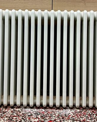 Radiatore Termosifone IRSAP