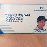 Williams Bmw FW23 - 2001 R.Schumacher 1/18 Minicha