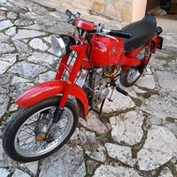 Motom modello 51