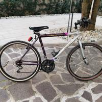 Bicicletta mtb ruote da 26"