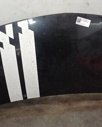 COFANO ANTERIORE RENAULT Twingo II serie 651003355