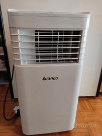 Pinguino condizionatore