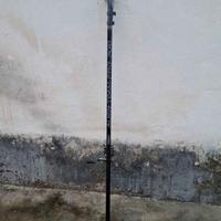 Bolognese 7 metri fly alien team pro