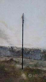 Bolognese 7 metri fly alien team pro