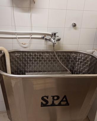 vasca Spa con l'ozonoterapia 