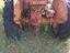 Immagine 3