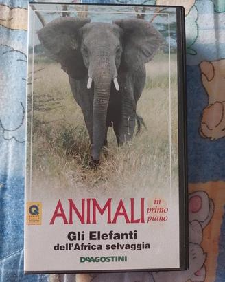Videocassetta VHS Documentario su Elefanti