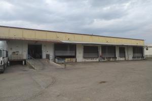 Capannone a Sambuceto CH