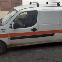 Trasporto animali da compagnia