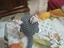 Immagine 1