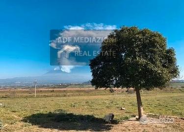 Terreno Agricolo Con Uliveto