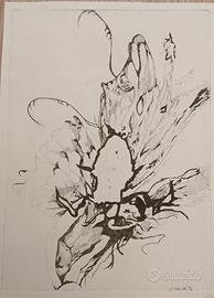 Metamorfosi nera