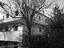 Immagine 11