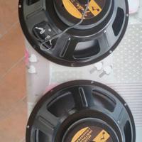 Coni Fender 8 ohm 12"