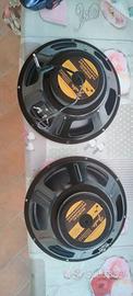 Coni Fender 8 ohm 12"