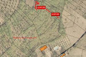 Terreno di 2000 metri quadri incolto