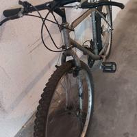 biciletta con portapacchi