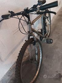 biciletta con portapacchi