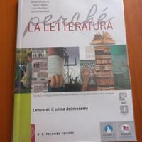 Perché la letteratura