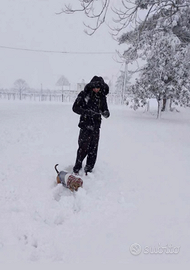 Mi candido per un lavoro