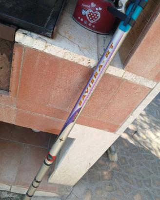 Bolognese colmic Baviera-RT 10 metri