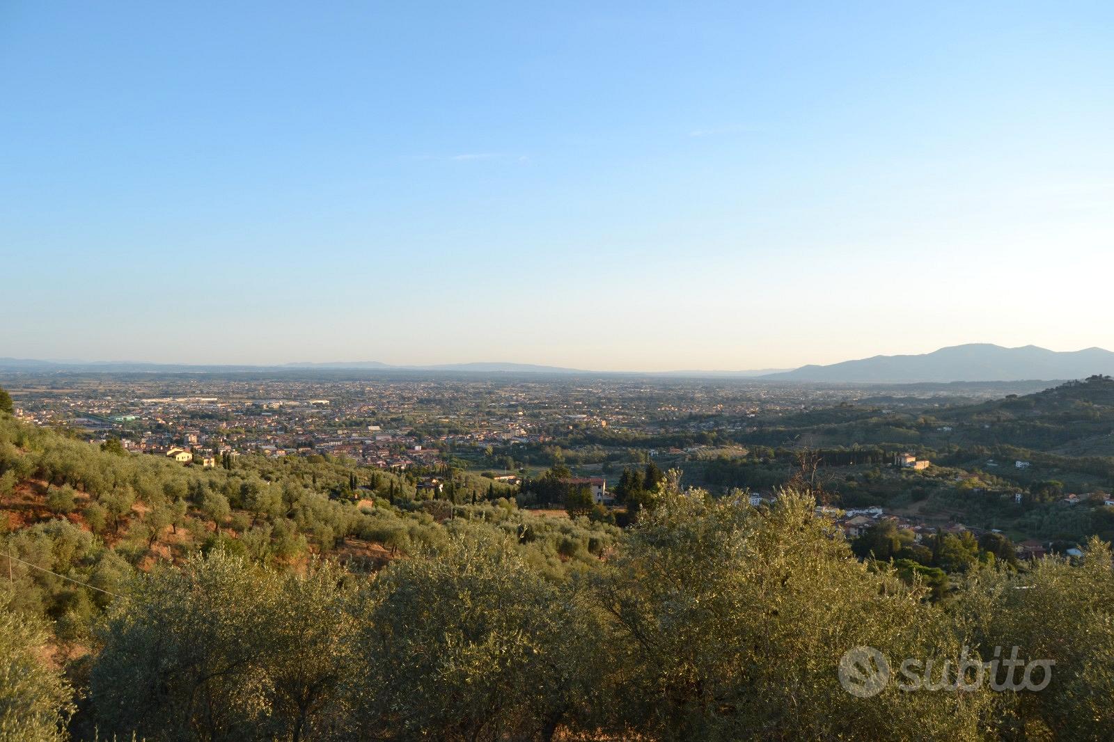 Casolare panoramico con oliveto collinare toscana - Vista 4