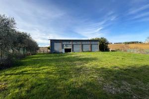 Terreno con accessorio - Fermo