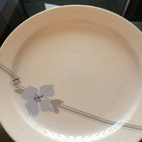 Servizio piatti frutta