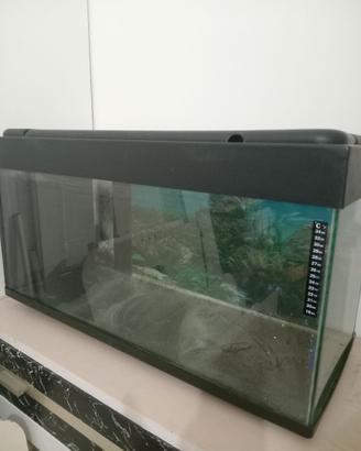 Acquario 100l
