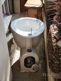 water + bidet