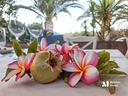 restaurant-pizzeria-villasimius-sardegna-ita