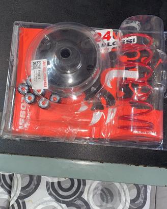 Variatore malossi sh 125