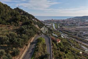 TER. AGRICOLO A CASTELLARO