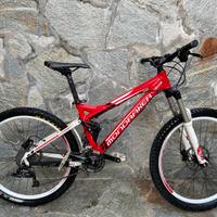Bicicletta Downhill
